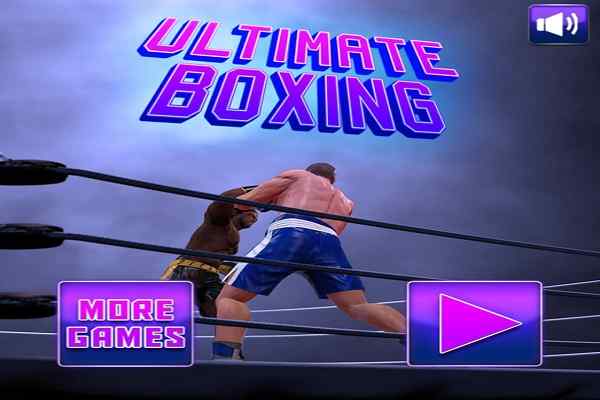 Play Ultimate Boxing