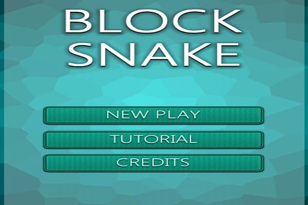 Play Block Snake