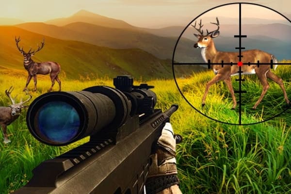 Play Wild Hunter Sniper Buck
